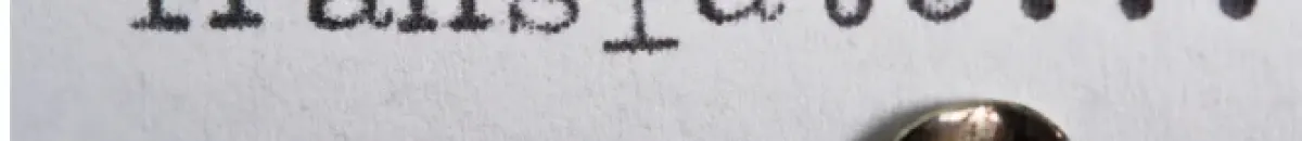 Traductor IA
